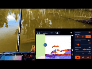 Domina la Pesca con Sonar Master
