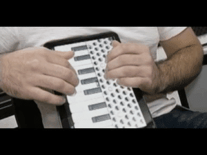 Domina el Acordeón y Sorprende