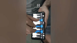 ¡Domina el Acordeón y Sorprende!