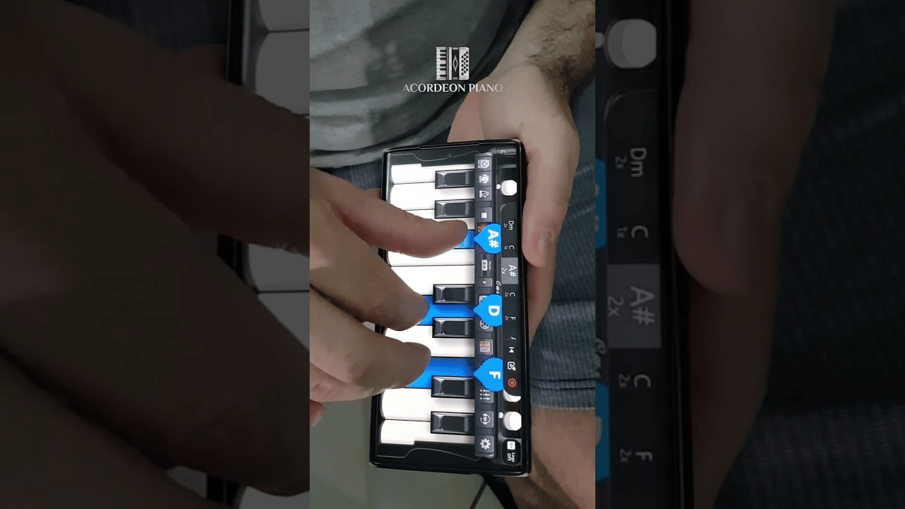 Conquista la Magia del Acordeón