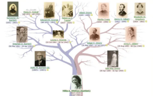 Conecta con tus raíces con esta app genealogía