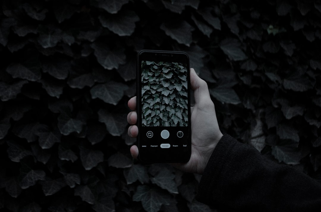 Aplicación para identificar tipos de plantas mediante foto fácil